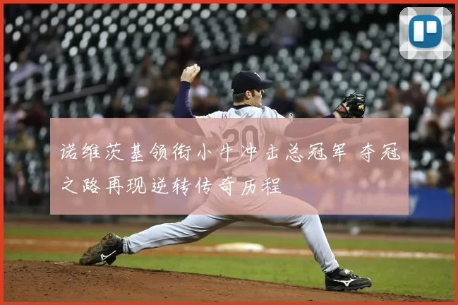 诺维茨基领衔小牛冲击总冠军 夺冠之路再现逆转传奇历程