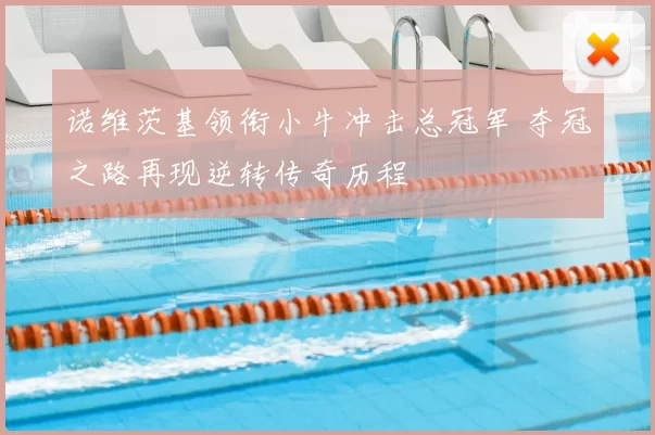 诺维茨基领衔小牛冲击总冠军 夺冠之路再现逆转传奇历程