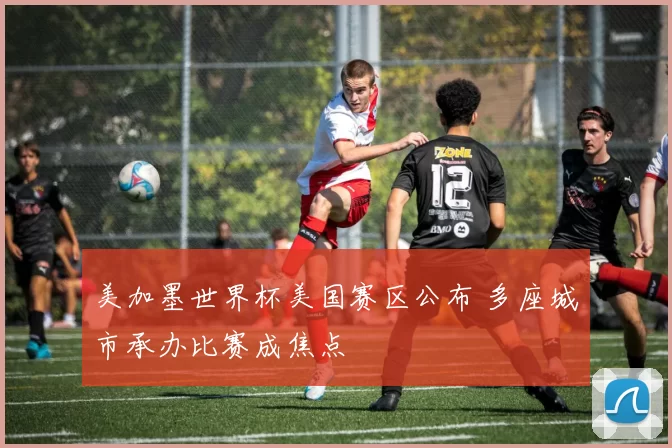 美加墨世界杯美国赛区公布 多座城市承办比赛成焦点