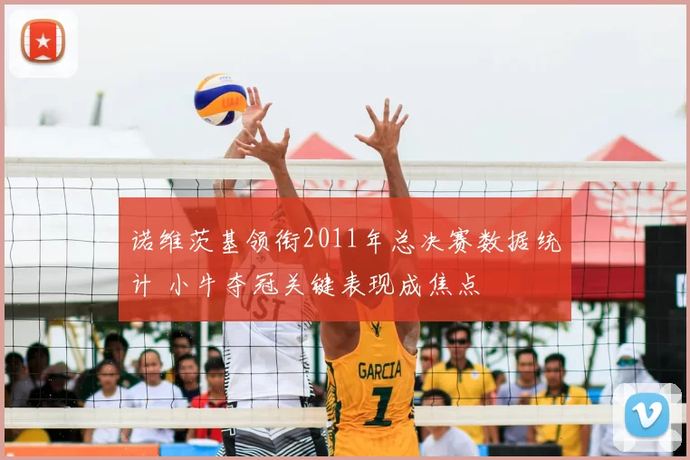 诺维茨基领衔2011年总决赛数据统计 小牛夺冠关键表现成焦点