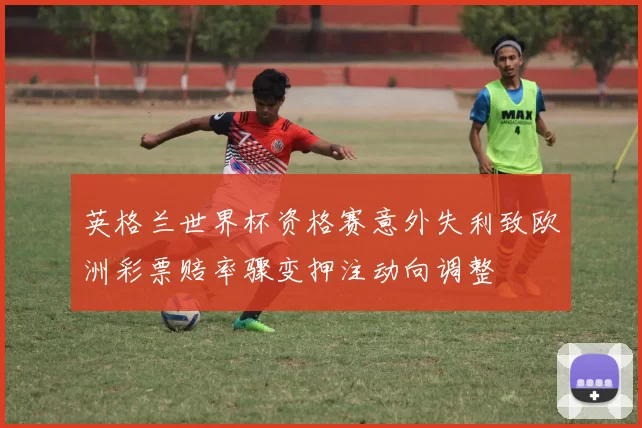 英格兰世界杯资格赛意外失利致欧洲彩票赔率骤变押注动向调整
