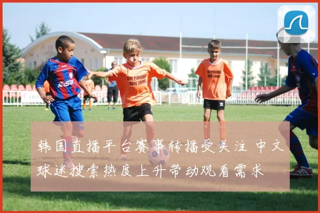 韩国直播平台赛事转播受关注 中文球迷搜索热度上升带动观看需求