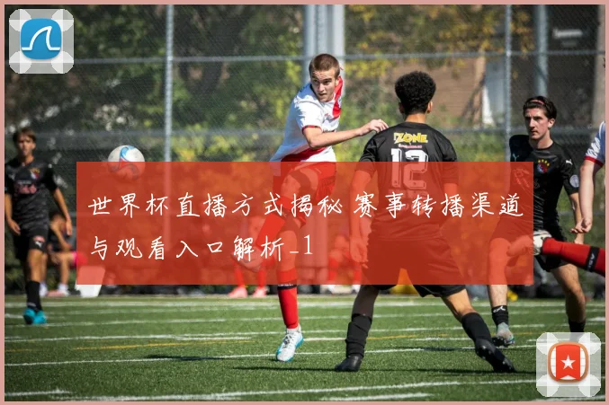 世界杯直播方式揭秘 赛事转播渠道与观看入口解析_1